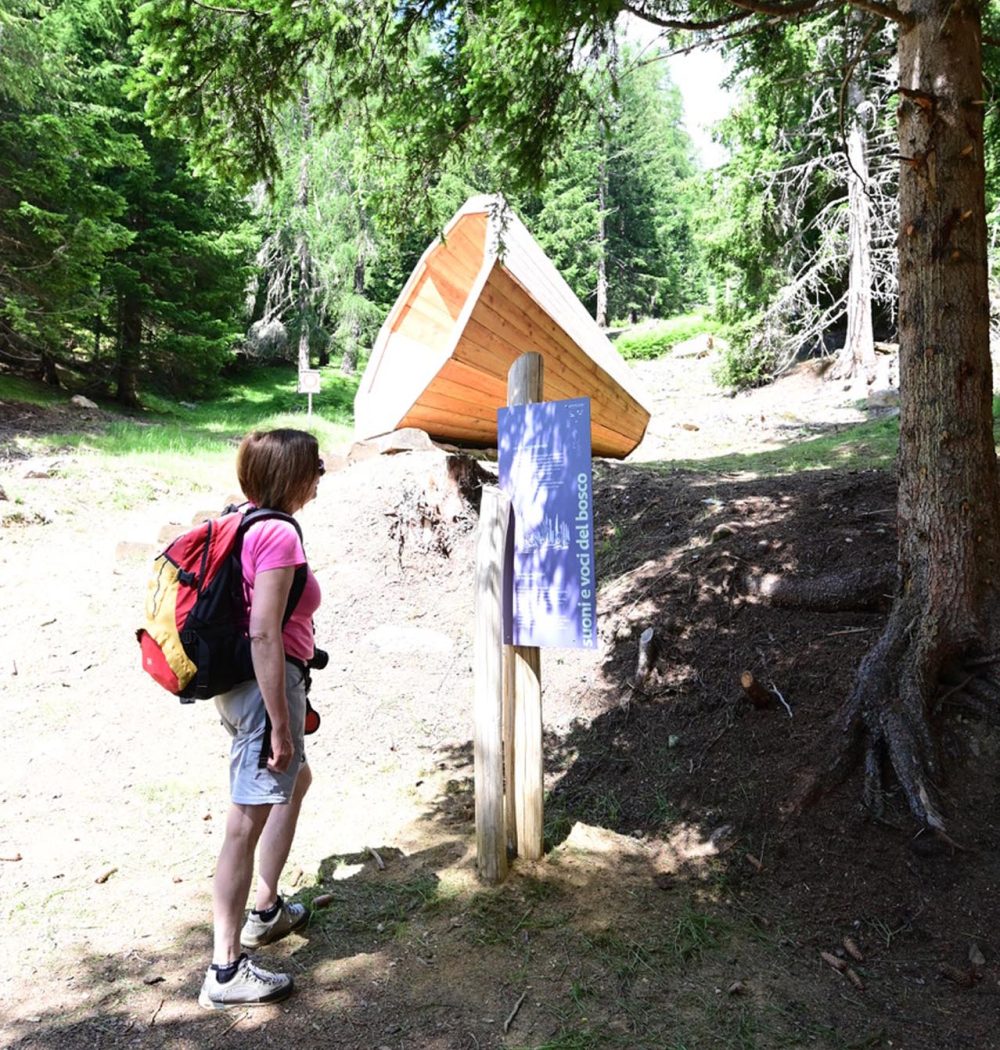 hotelalpino-pejo-activity-adventure-3 hotelalpino-pejo-activity-adventure-3